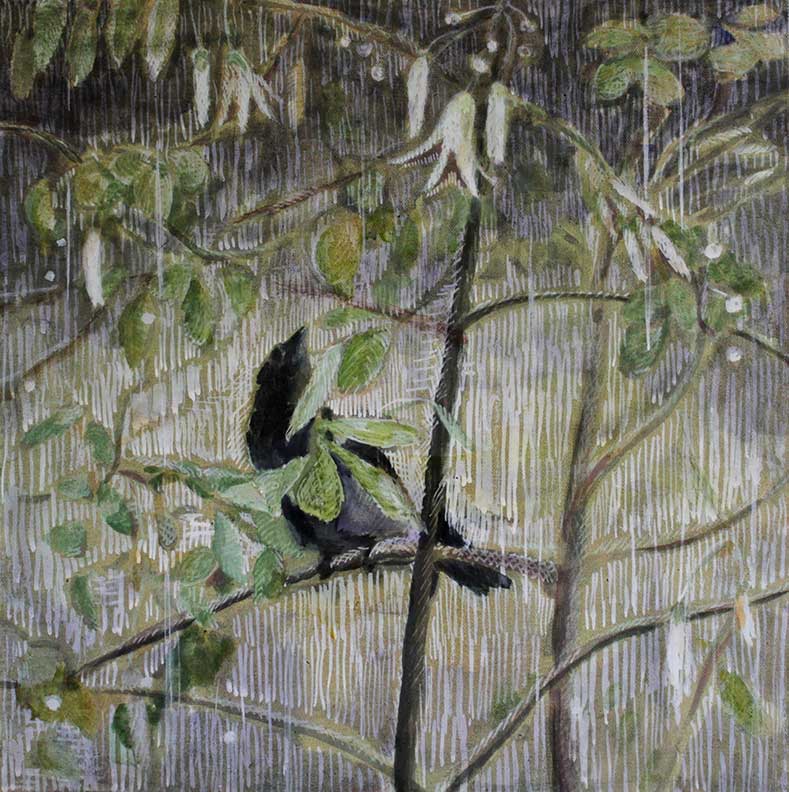 SPRING BIRD