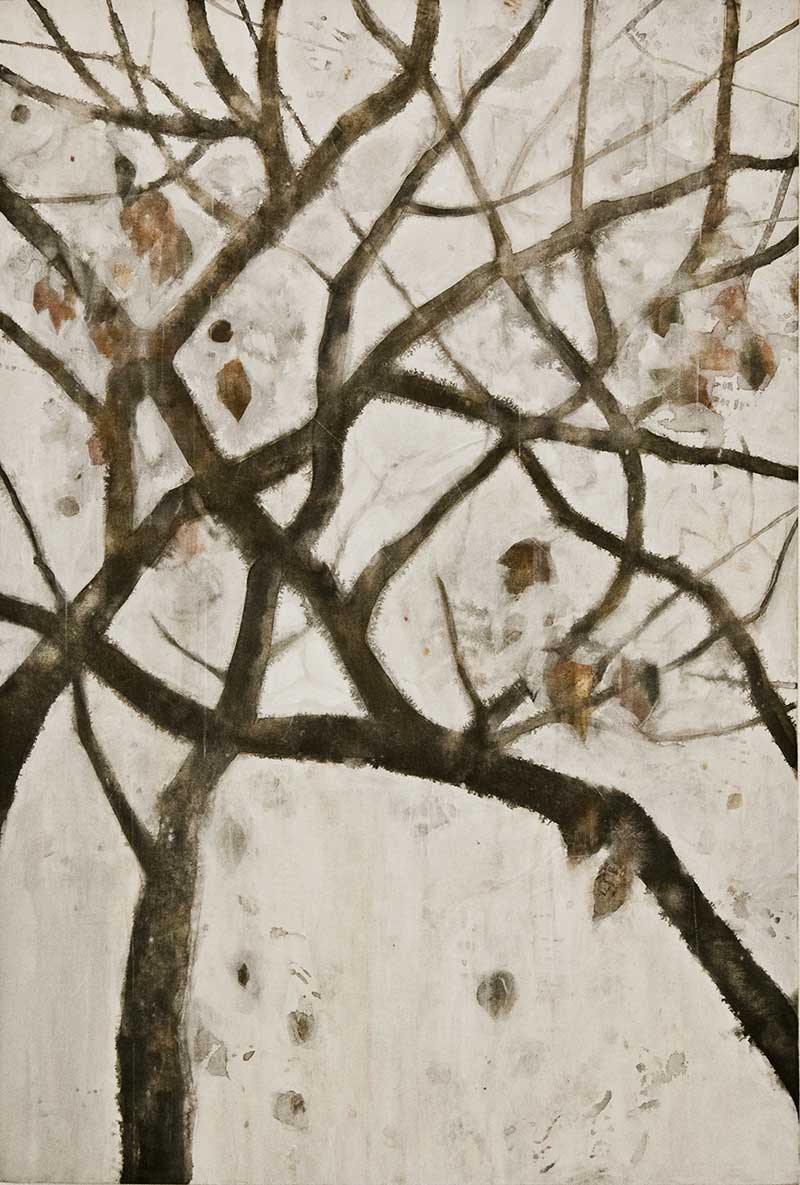 STRADA D’AUTUNNO